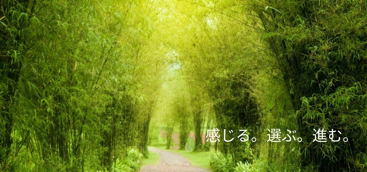 slide-image_2