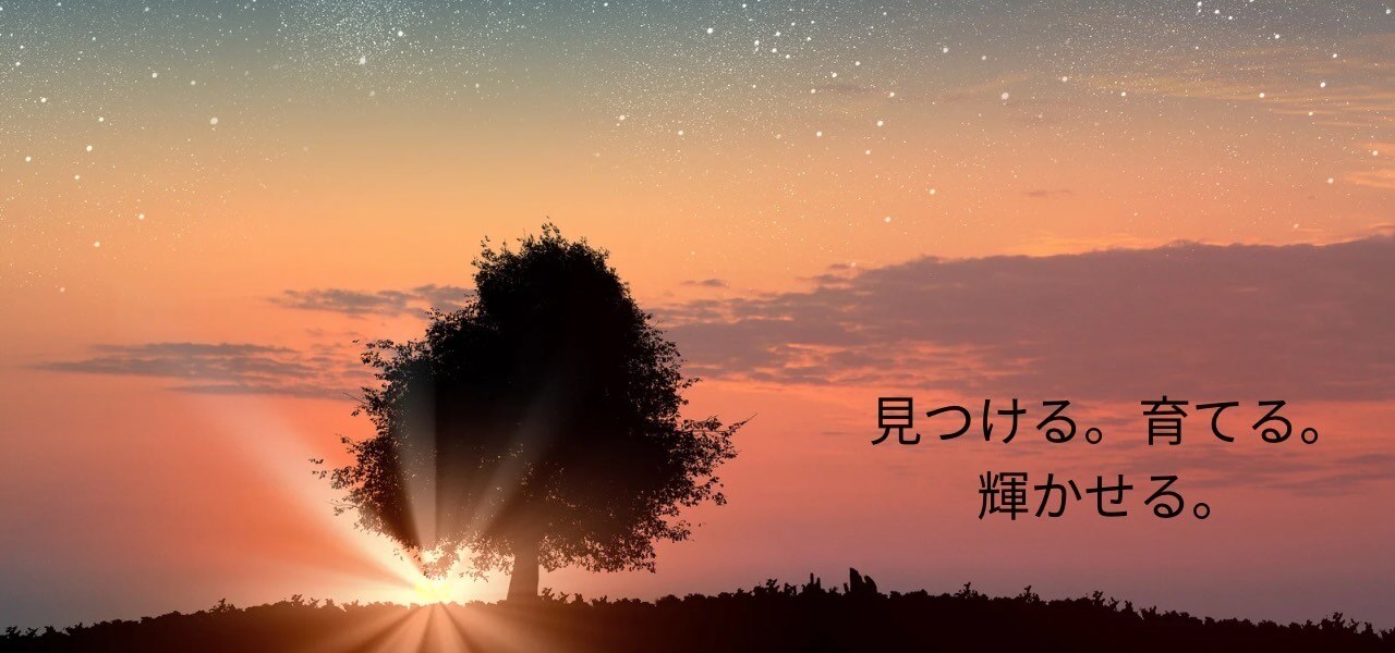 slide-image_3